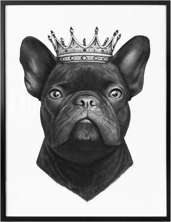Produktbild Trenddeko King French Bulldog (40 x 50 cm)