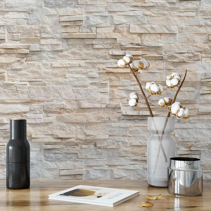 Immagine prodotto Trenddeko muro in pietra naturale (288 x 260 cm)
