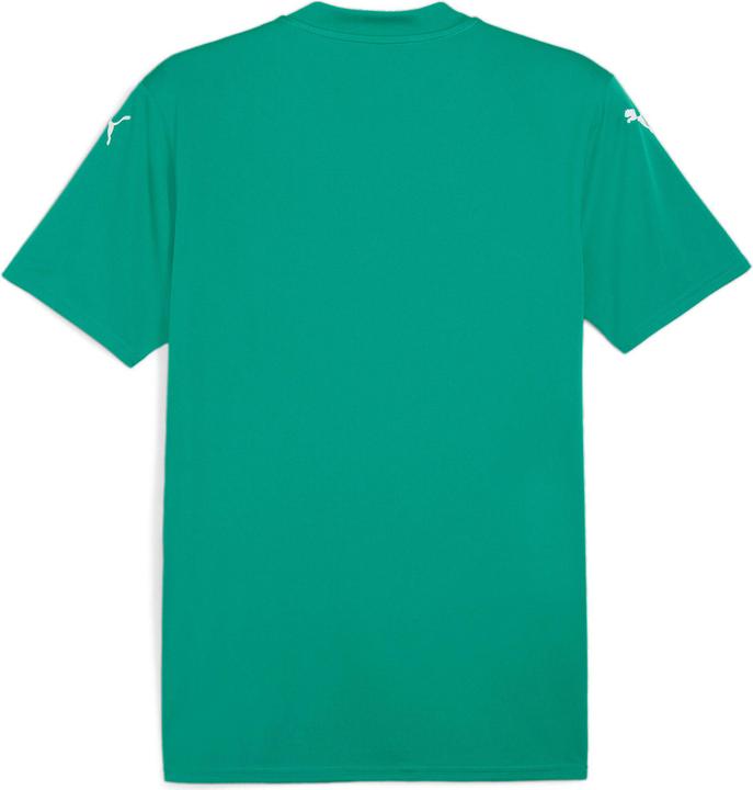 Actual product image Puma teamGLORY Jersey (M)