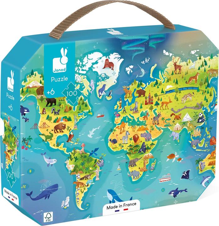 Actual product image Janod World (100 pieces)