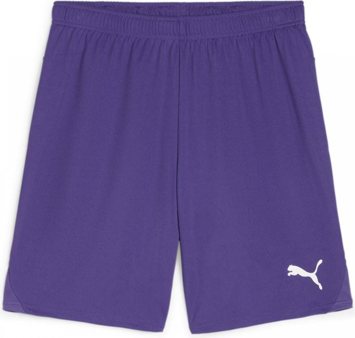 Produktbild Puma teamGOAL Shorts (L)