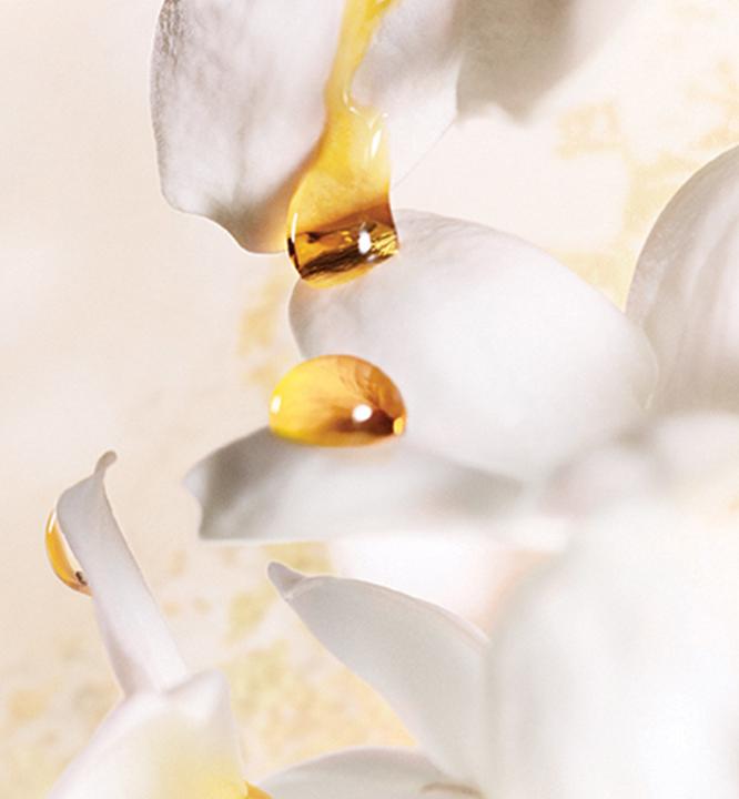 Immagine prodotto Dior J'Adore (Eau de parfum, 150 ml)