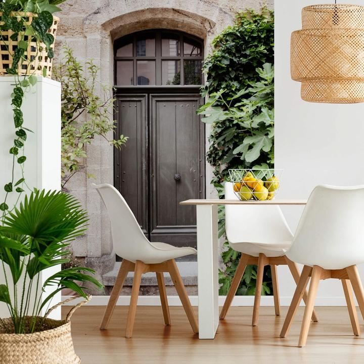 Immagine prodotto Trenddeko Porta antica in legno (192 x 260 cm)