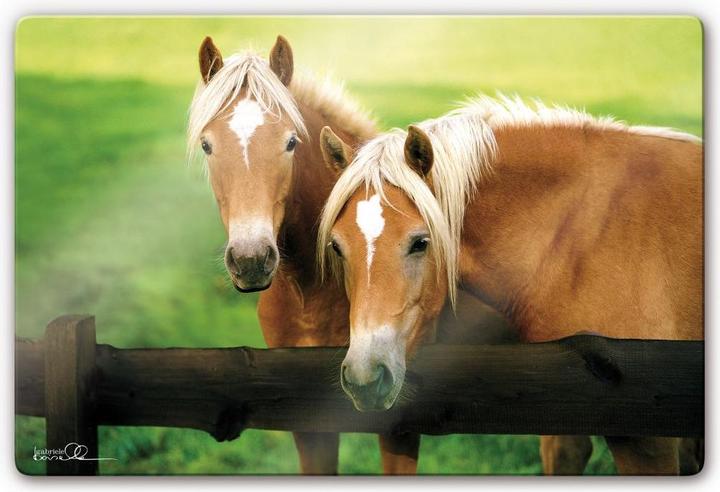 Immagine prodotto Boiselle - Curiosa giovane cavalla Haflinger (60 x 40 cm)