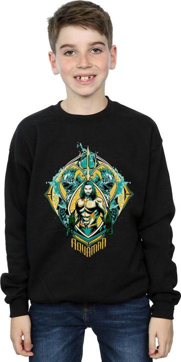Actual product image Boys Aquaman The Trench Crest Sweatshirt (140, 146)