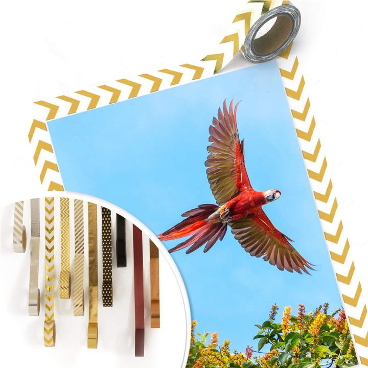 Produktbild Trenddeko Colombo – Papagei im Flug (50 x 60 cm)
