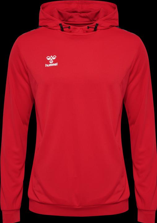 Actual product image hummel Hmlauthentic Pl Hoodie (M)
