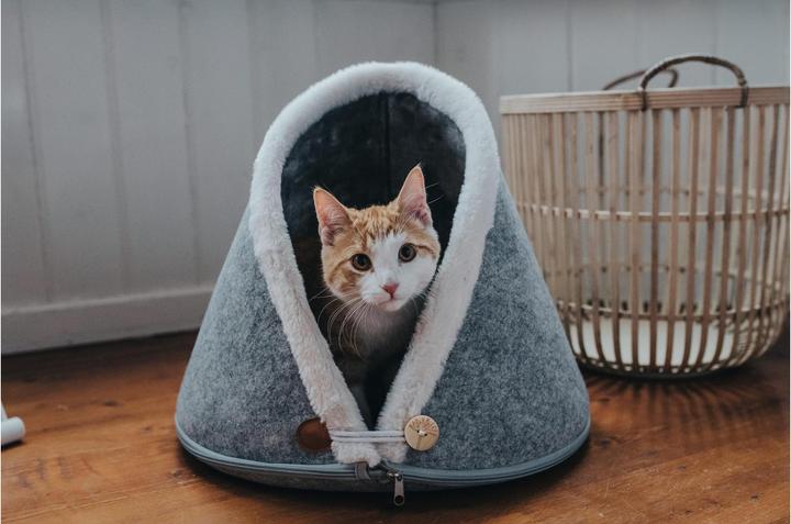 Immagine prodotto Hunter Gatto grotta Skive (Cane)