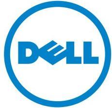Actual product image Dell Wyse Dvi Splitter Cable