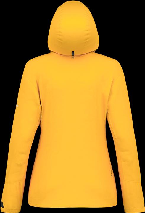 Immagine prodotto Salewa GIACCA ORTLES GTX 3L Donna (34, XS)