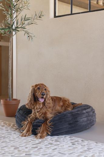 Image du produit Designed by Lotte Coussin de repos Reza (Chien)