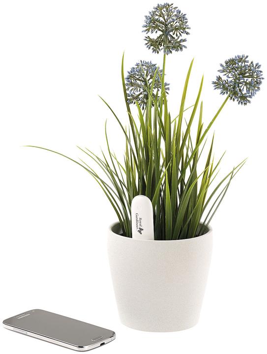 Produktbild Royal Gardineer 4in1-Pflanzensensor (Bewässerungssensor)