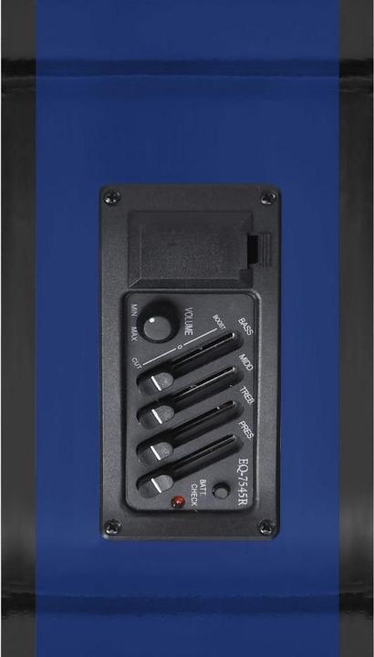 Produktbild VidaXL Montague (Westerngitarre, Hartplastik, Lindenholz)