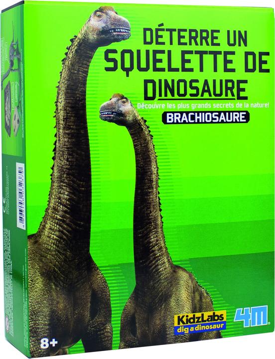 4M Dinosaurier Ausgrabung Brachiosaurus
