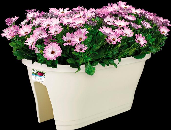Produktbild Elho Corsica (28.30 cm)