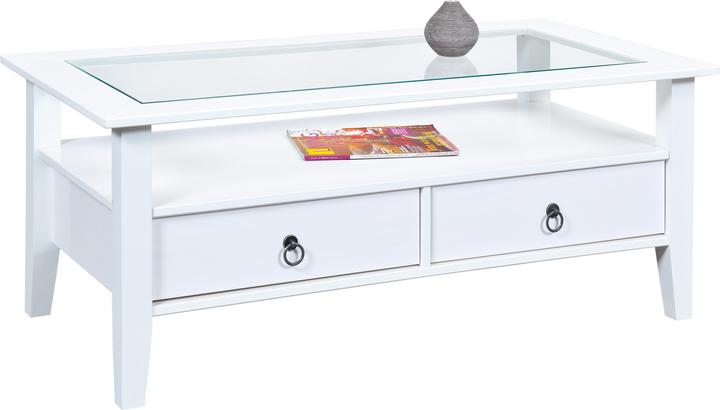 Inter Link Provence (115 x 60 x 45 cm)