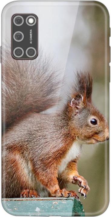 Squirrels
