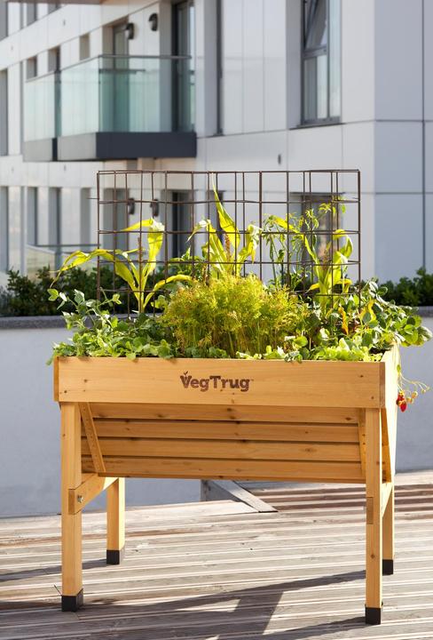 Actual product image VegTrug Planter