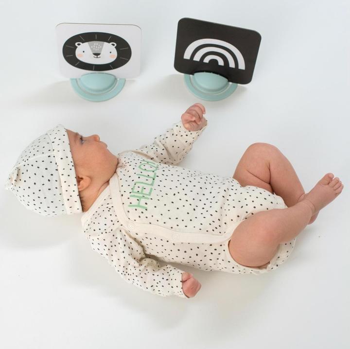 Actual product image Taf Toys My first playing cards