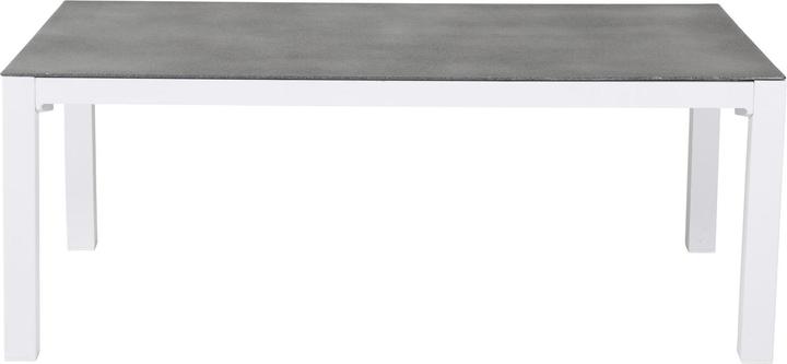 Image du produit Venture Home Table basse Copacabana (120 x 70 x 45 cm)