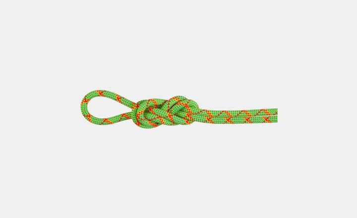 Produktbild Mammut 8.0 Alpine Core Protect Dry Rope (50 m)