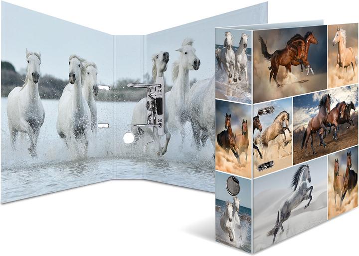 Actual product image HERMA A4 folder motif (A4, 70 mm, 1 Piece)