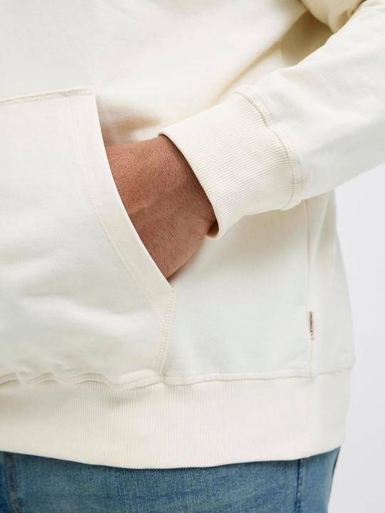 Actual product image Jack & Jones Plus Size Kapuzenpullover Kapuzenpullover (4XL)