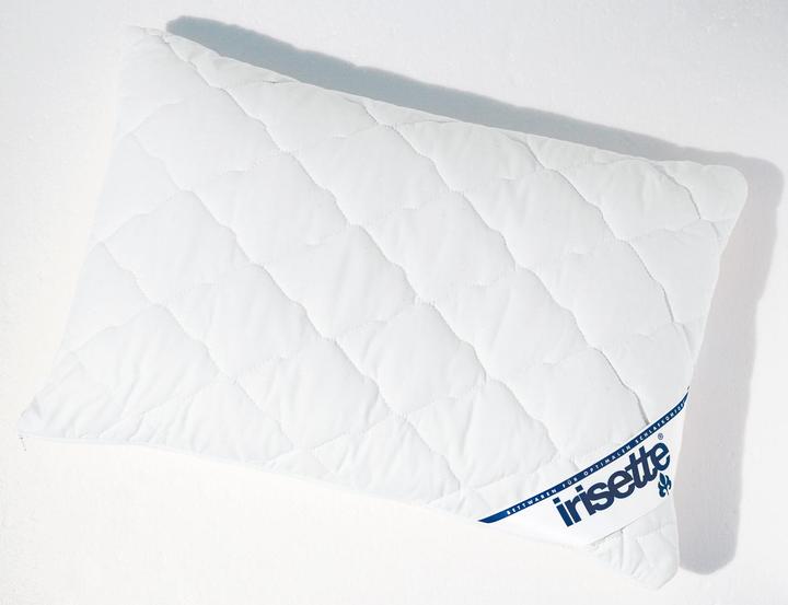 Image du produit Irisette Oreiller en millet (40 x 60 cm)