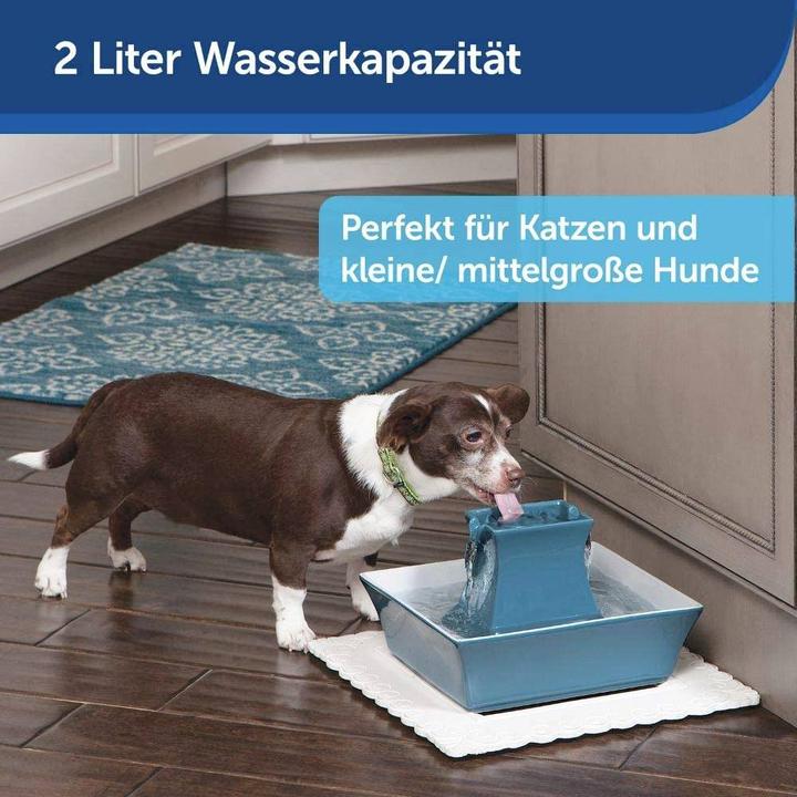 Actual product image PetSafe Pagoda (2.10 l)
