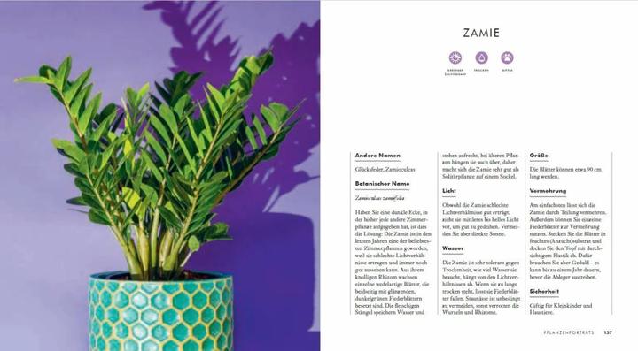Produktbild Grow in the Dark - Die schönsten Zimmerpflanzen für dunkle Räume und Plätze. Beleuchtung, Düngung (Deutsch, Lisa Eldred Steinkopf, 2020)