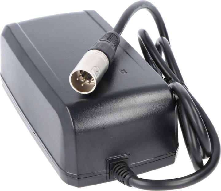 Giant Chargeur rapide 41.8V 5 pins, DPS-83CB A, GLI180A, NC-SSC05GNT (Chargeur de vélo électrique)