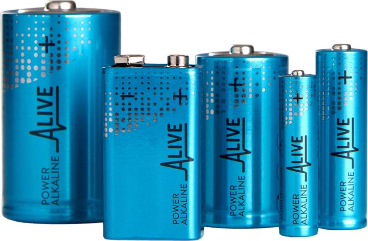 Produktbild Batterie Alkaline (2 Stk., 9V Block, 600 mAh)