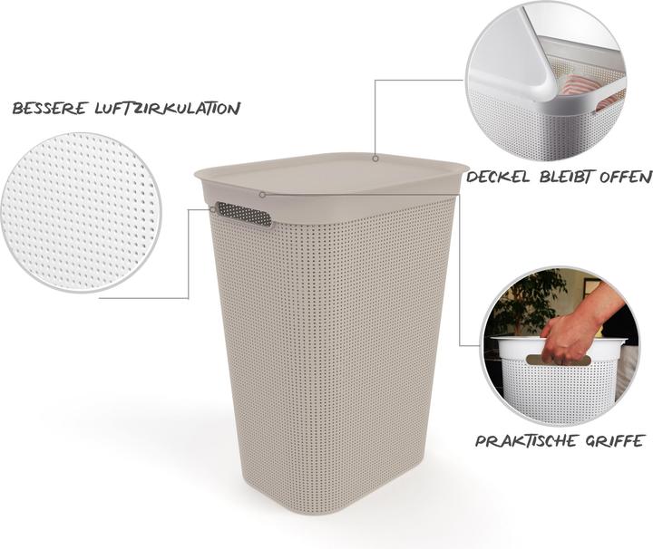Produktbild Rotho Brisen (50 l)