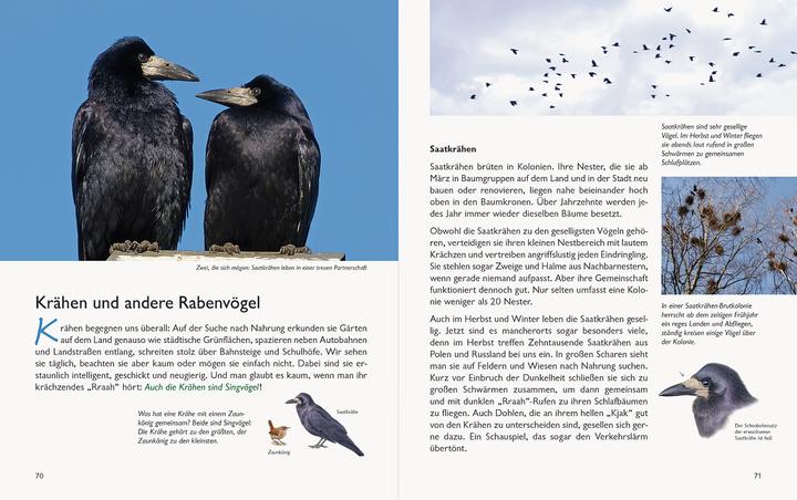 Produktbild Wawra's Naturbuch, Band 1: Säugetiere, Vögel, Reptilien, Amphibien (Deutsch, Johannes Wawra, Ursula Wawra, 2020)