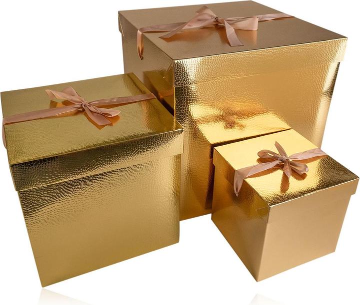 Produktbild Accentra Geschenkbox (Geschenktüte, 1 x)