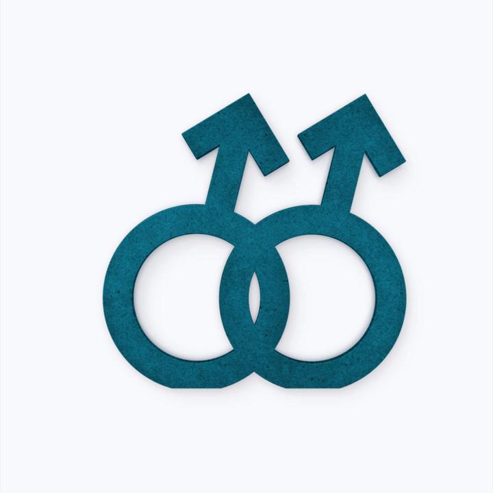 Actual product image Trenddeko Gender symbol homo men (16 x 15 cm)