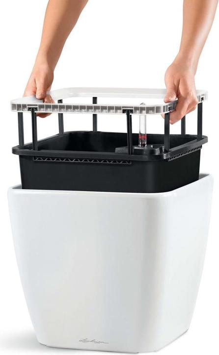 Produktbild Lechuza Quadro LS (28 cm)