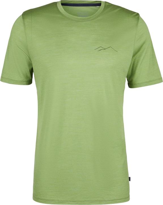 Vert cèdre