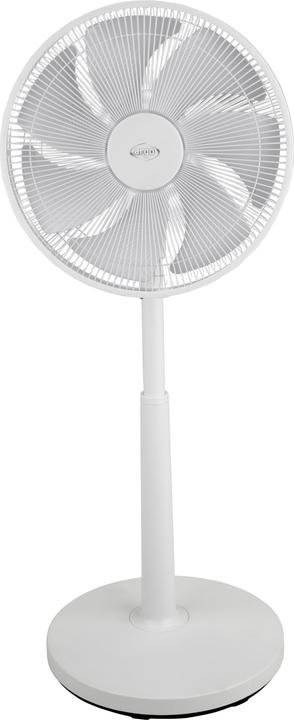 Produktbild Argo Tisch bodenventilator 61 db (61 dB)