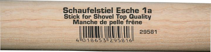 Image du produit Kerbl Manches de pelle en frêne
