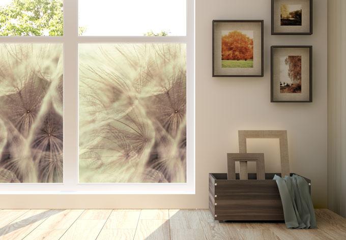Produktbild Trenddeko Pusteblume Close up (120 x 120 cm)