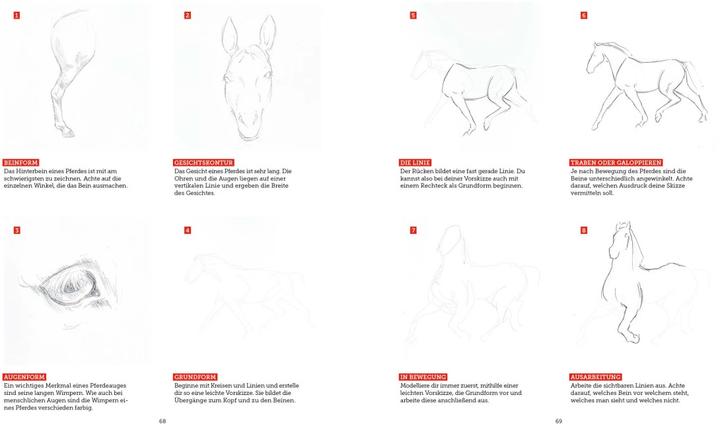 Image du produit Tiere zeichnen (2 Bücher im Bundle)
