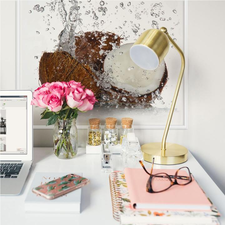 Image du produit Trenddeko Noix de coco des Caraïbes (50 x 50 cm)