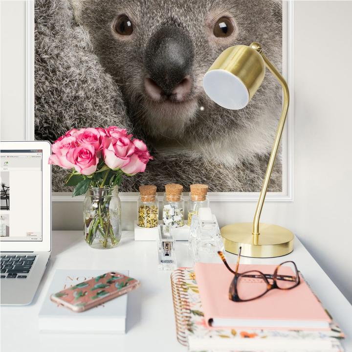 Image du produit Trenddeko Koala en peluche (30 x 30 cm)