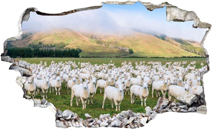 Produktbild Trenddeko 3D - Schafherde in Neuseeland (40 x 24 cm)