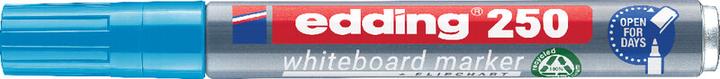 Actual product image Edding 250 (Light blue, 3 mm, 1 x)