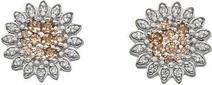 Produktbild Hot Diamonds Silver Earrings Emozioni Spirzzare EE032