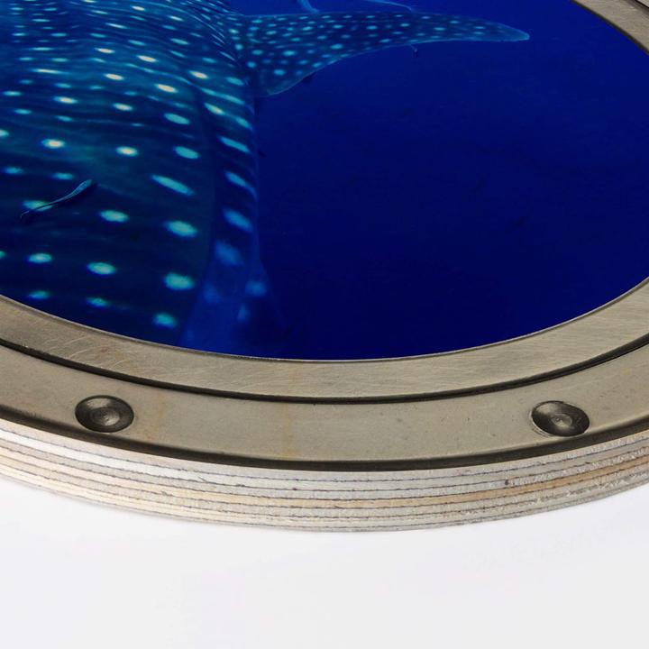 Actual product image Trenddeko 3D optics porthole - The whale shark (Ø 45 cm)