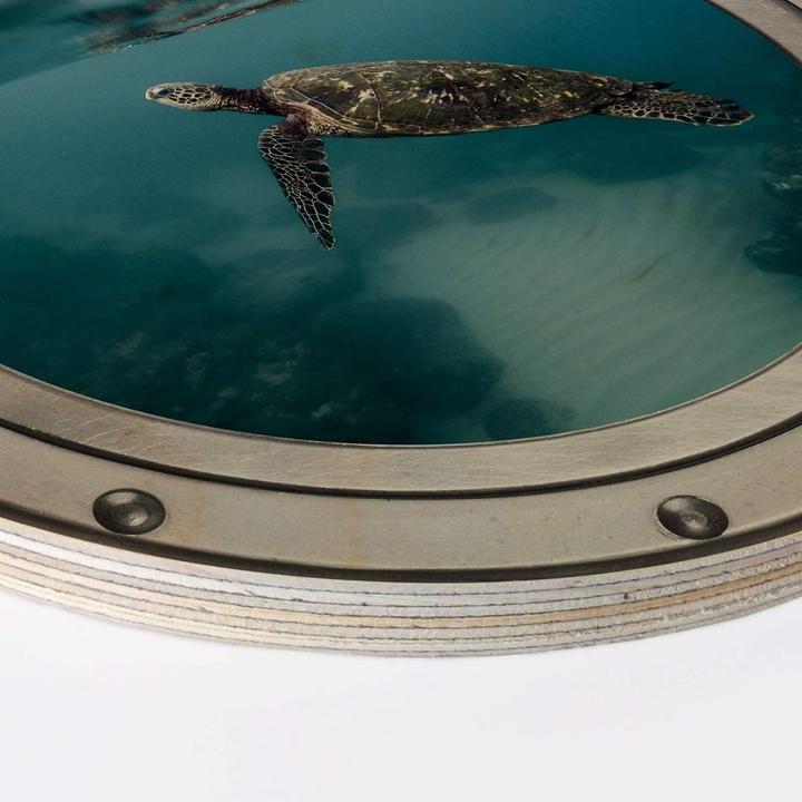 Produktbild Trenddeko 3D-Optik Bullauge - Schildkröte seitlich (Ø 30 cm)