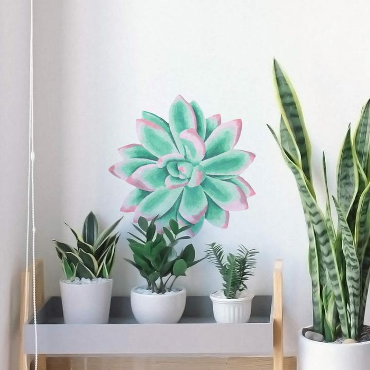 Produktbild Trenddeko Sukkulente Echeveria Spitzen Watercolor (80 x 78 cm)
